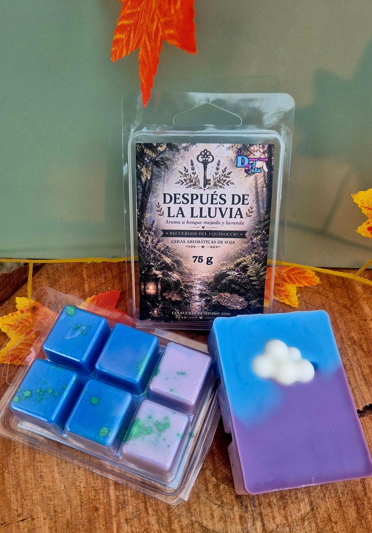 Después de la Lluvia(Recuerdo de la Maleta del Equinoccio)