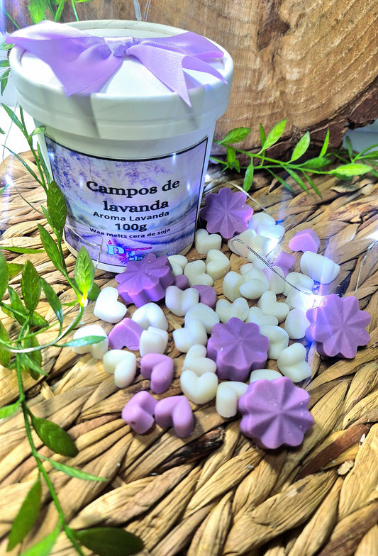 CAMPOS DE LAVANDA